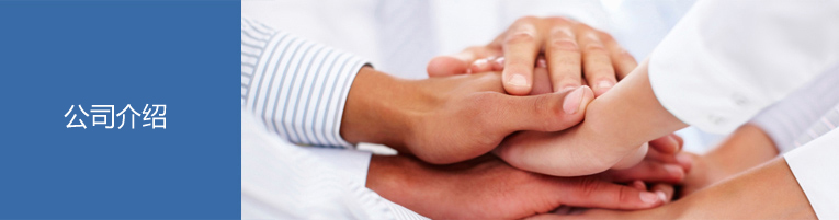 公司介绍