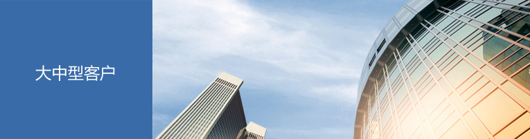 大中型客户