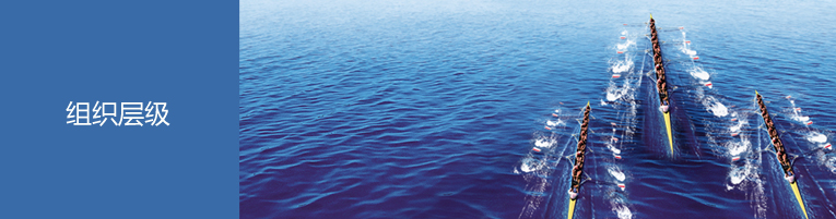 组织层级