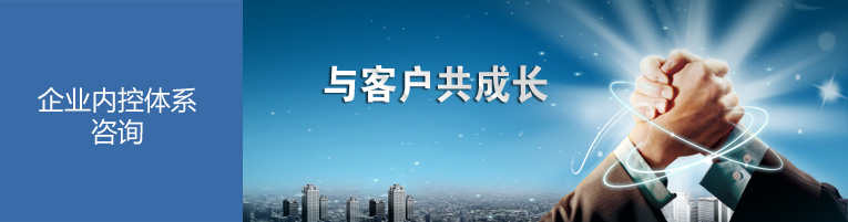企业内控体系咨询